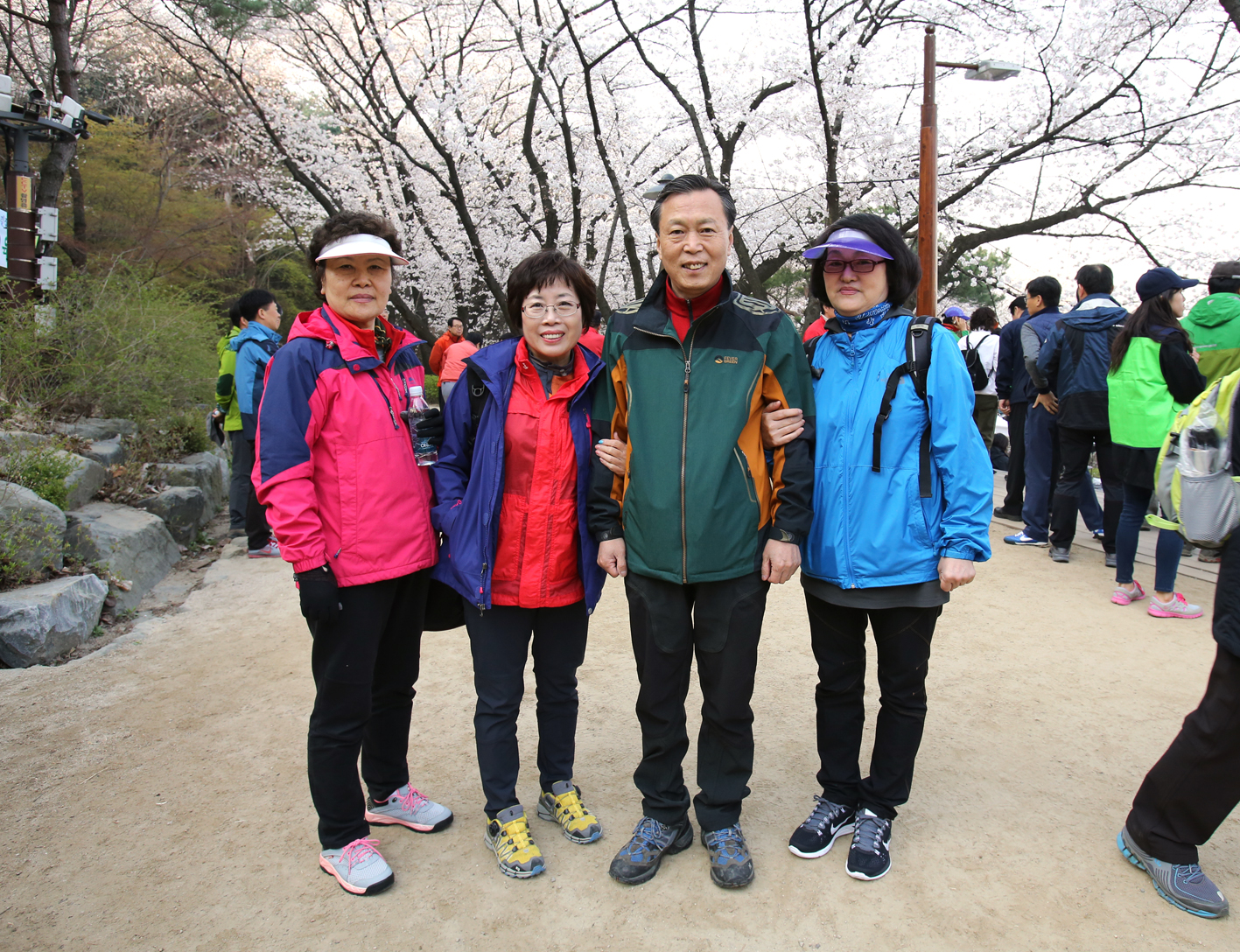 안산 벚꽃 걷기대회 1