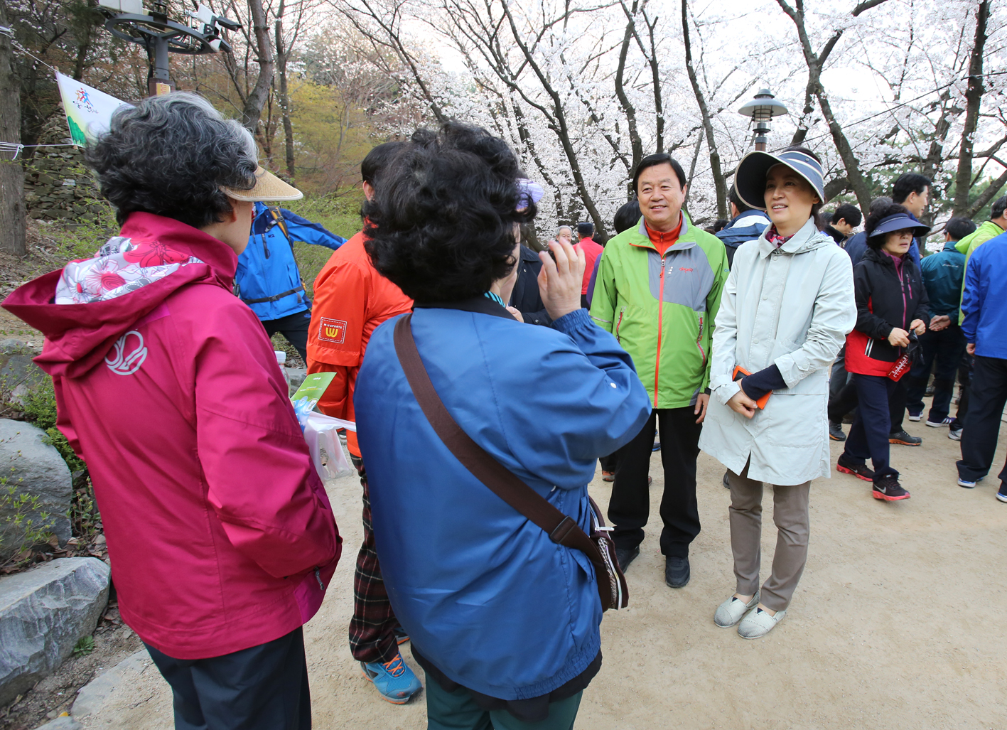 안산 벚꽃 걷기대회 1