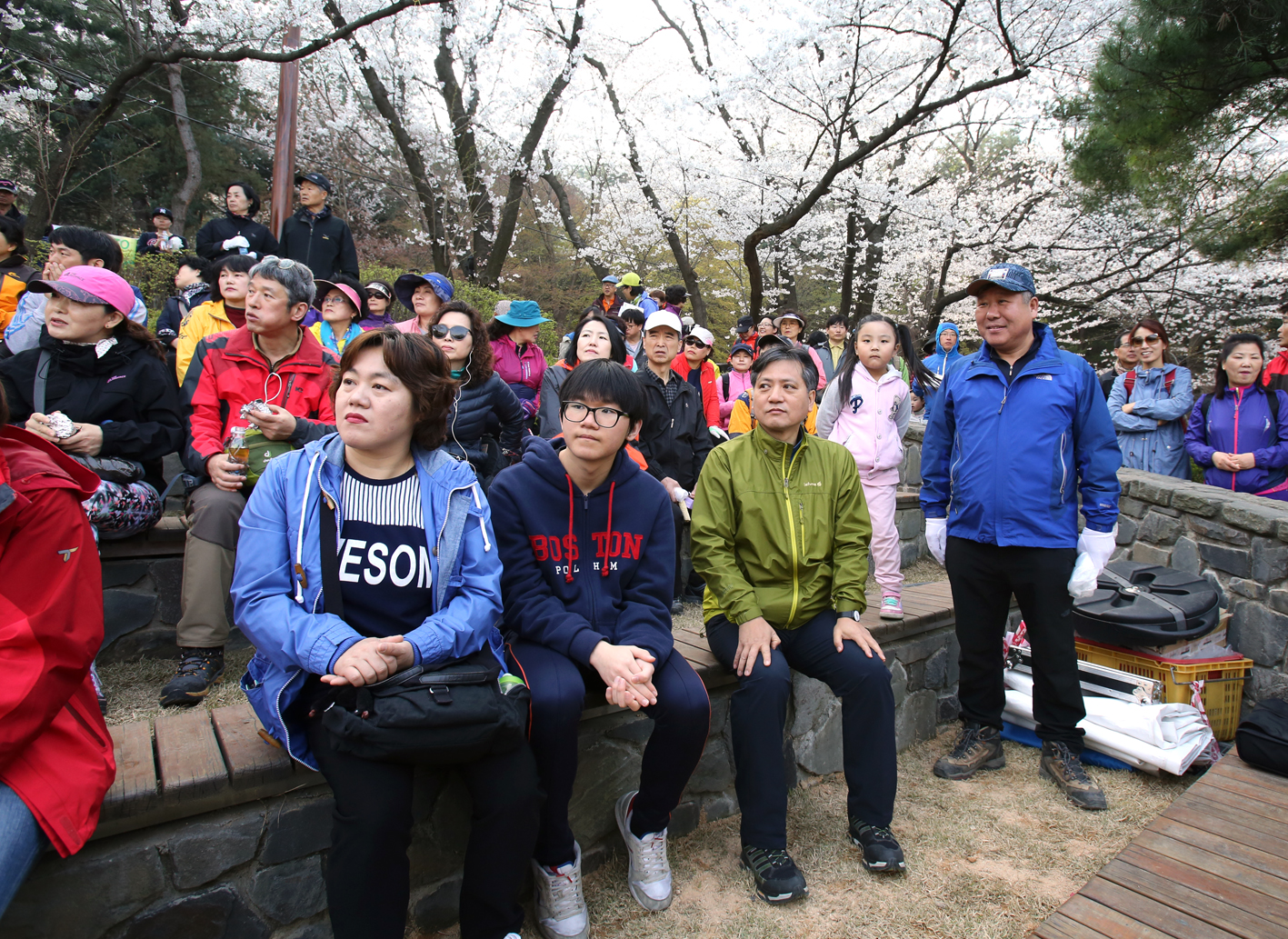 안산 벚꽃 걷기대회 1