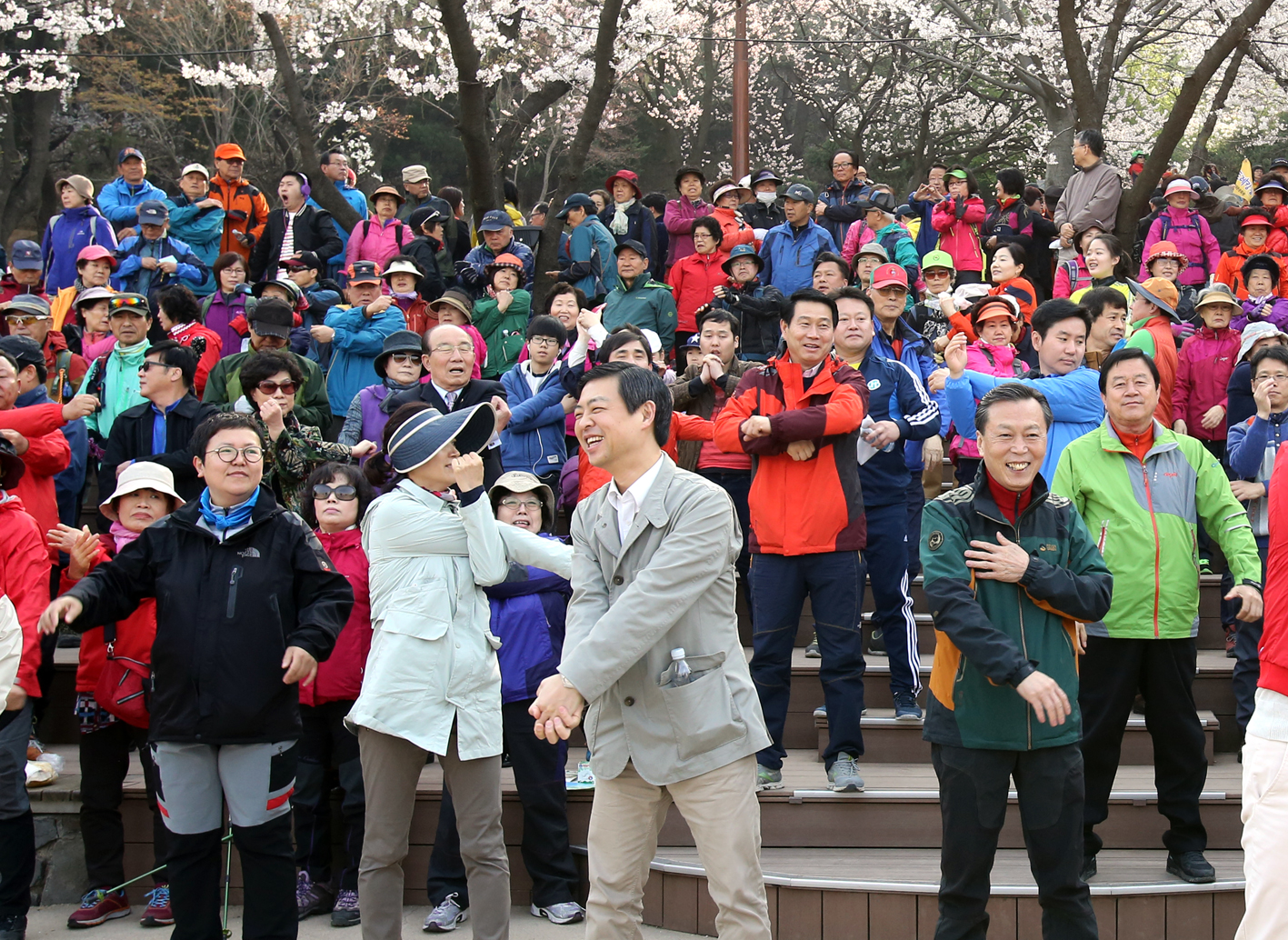 안산 벚꽃 걷기대회 1