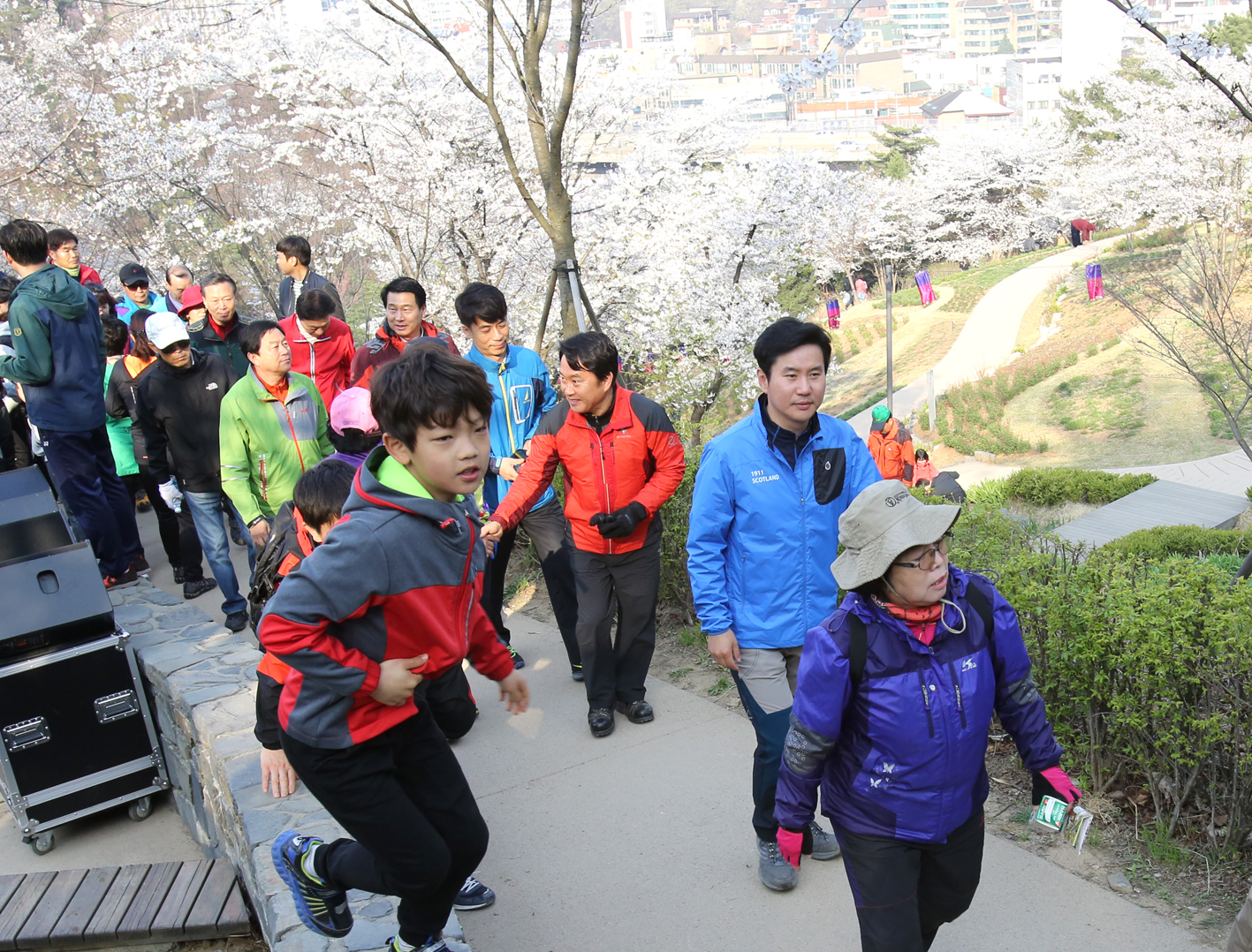 안산 벚꽃 걷기대회 1
