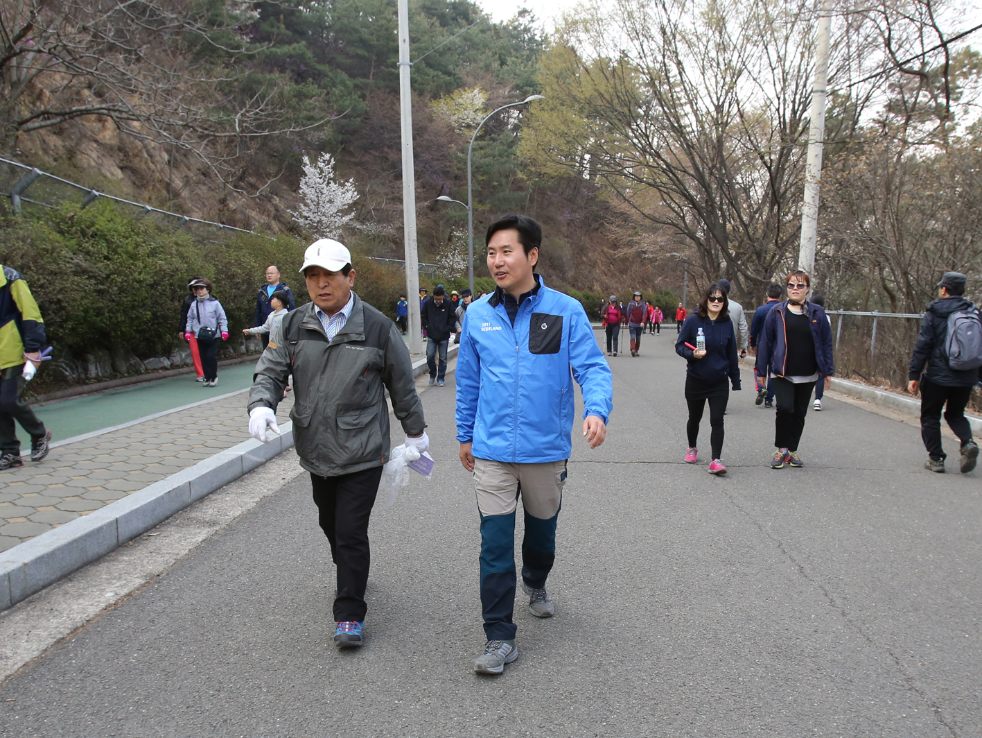 안산 벚꽃 걷기대회 1