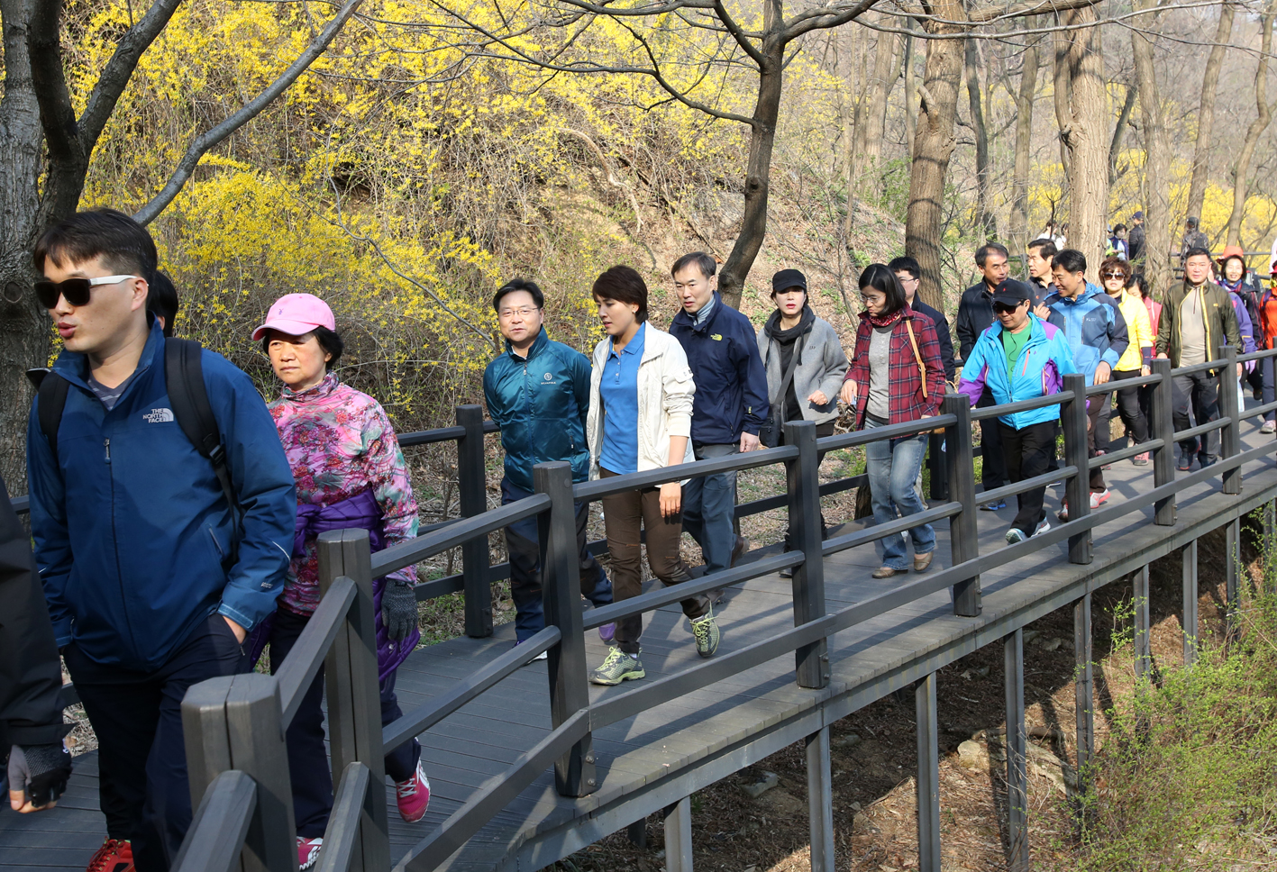 안산 벚꽃 걷기대회 1
