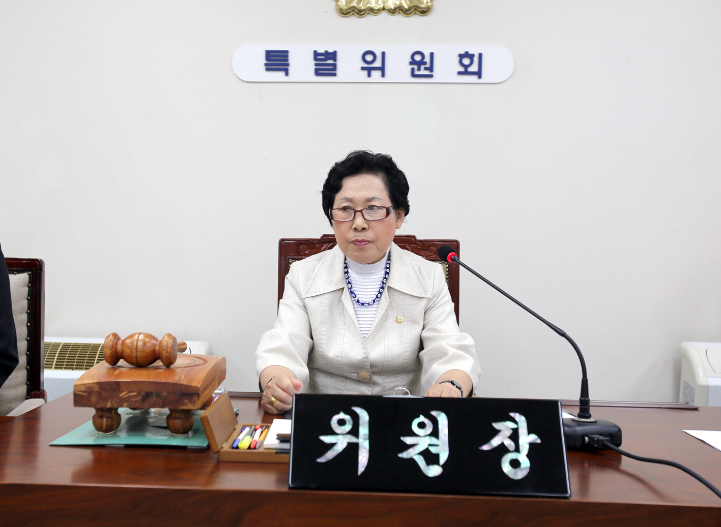 제228회 임시회 제1차 특별위원회 2
