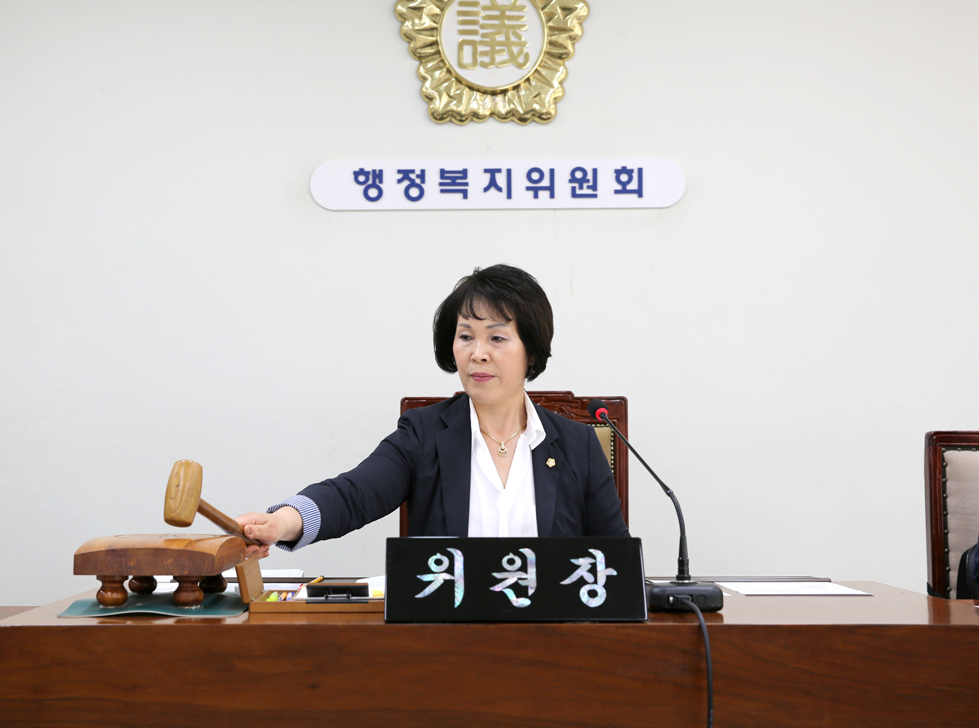 제234회 제1차 정례회 제1차~3차 행정복지위원회 2