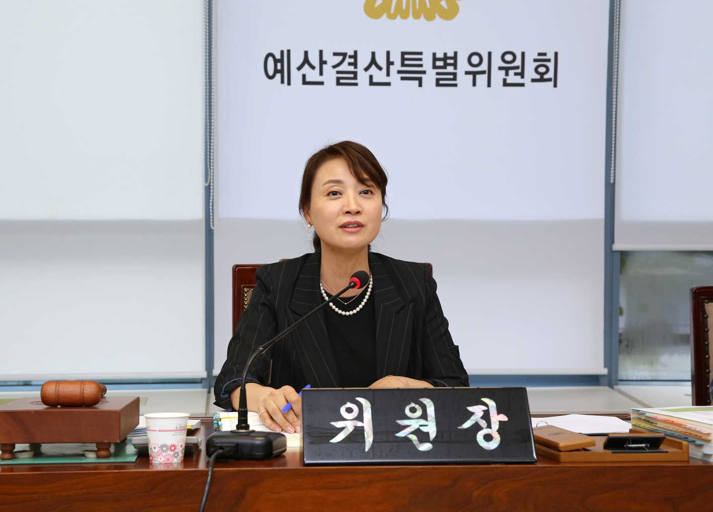 제246회 제1차 정례회 제2차 예산결산위원회 2