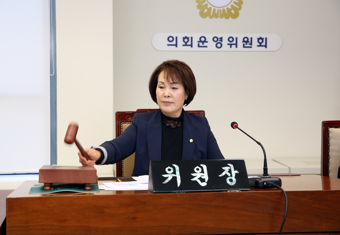제247회 의회운영위원회 협의의 건 2
