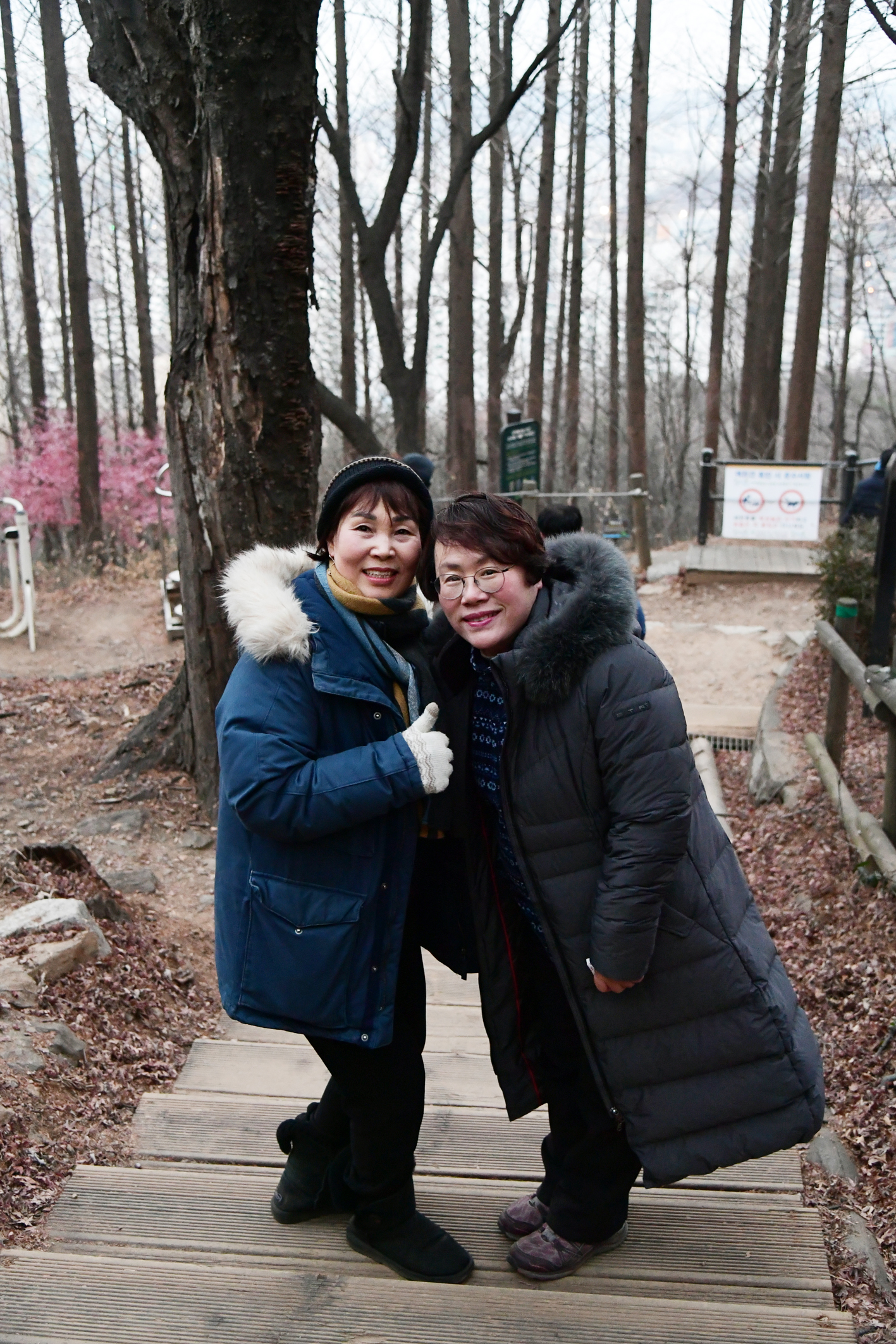 2019년 안산해맞이 행사 31