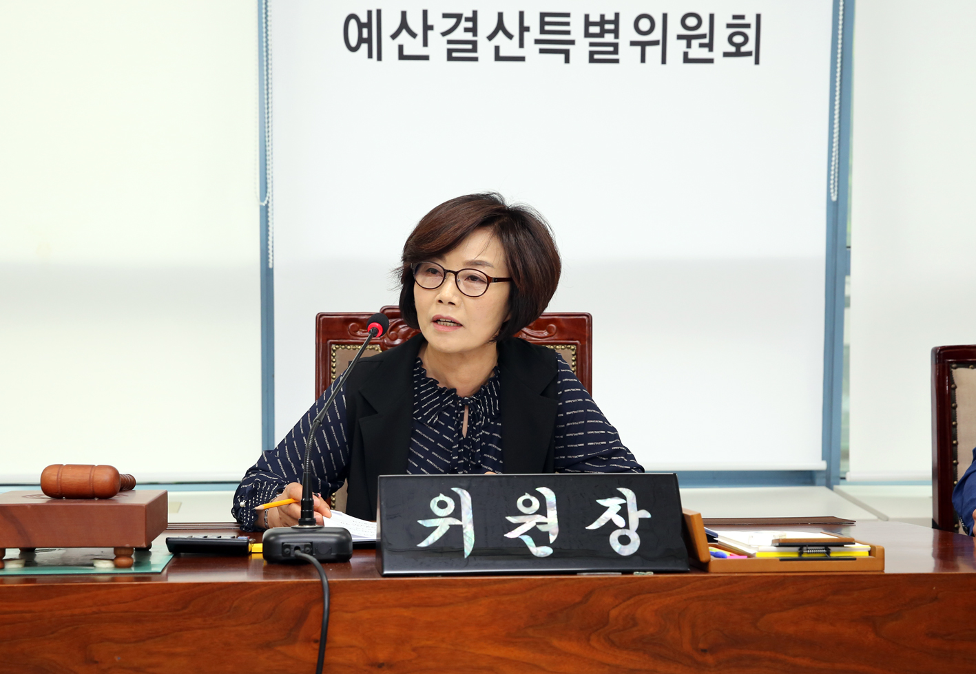 제252회 제1차 정례회 제2차~3차 예산결산특별위원회 1