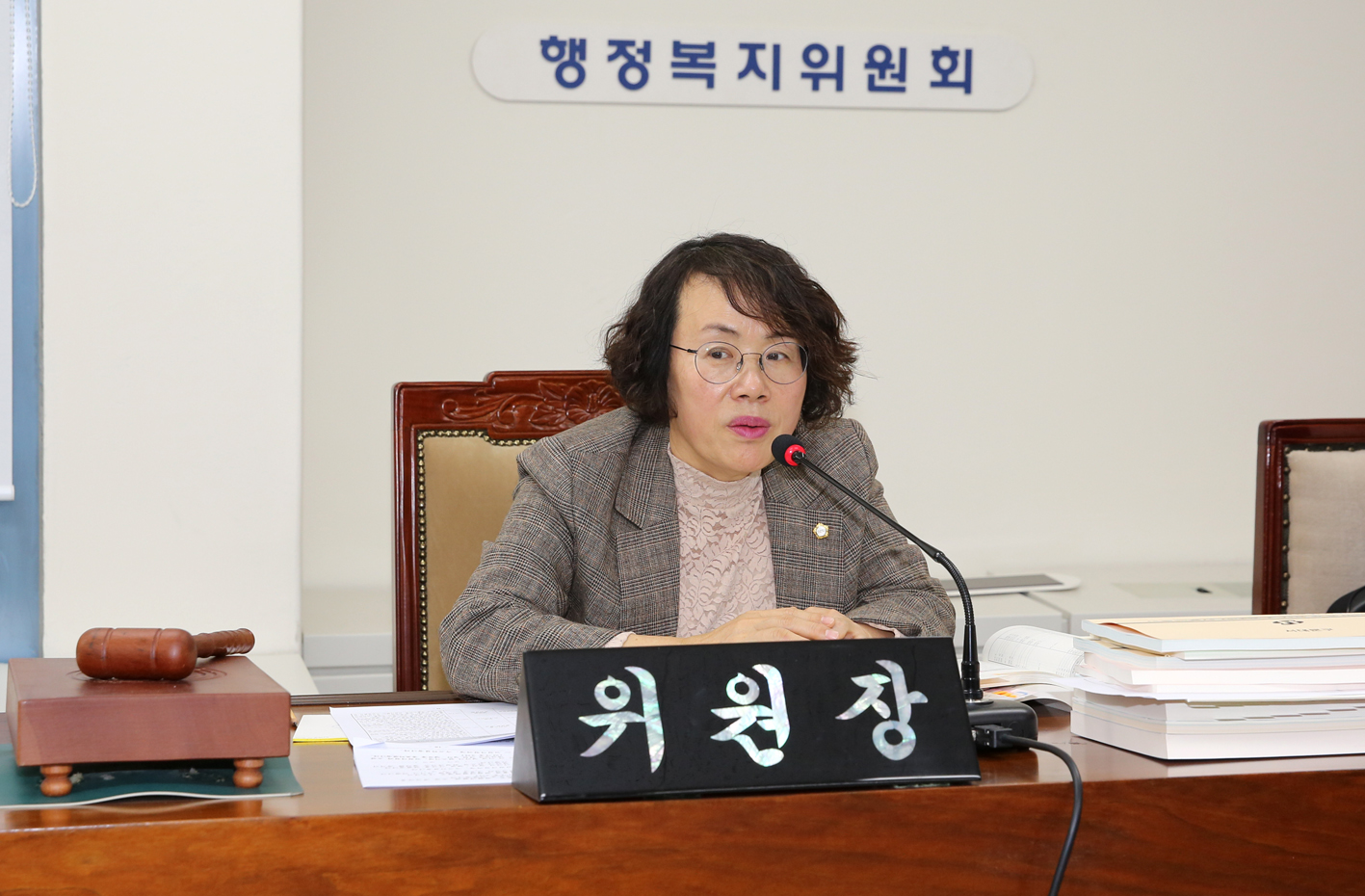 제256회 서대문구의회 제2차 정례회 행정복지위원회 4