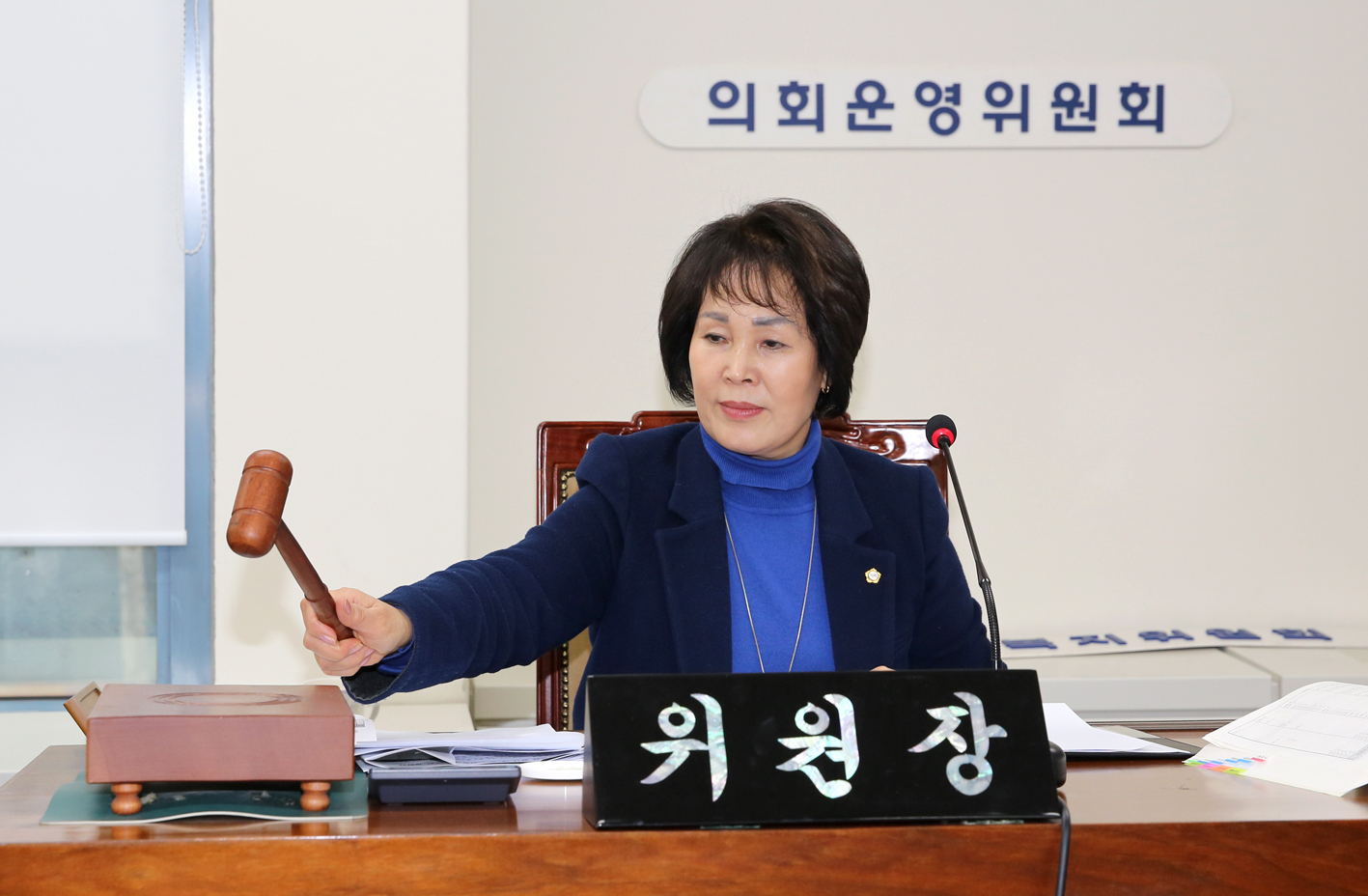 제256회 서대문구의회 제2차 정례회 의회운영위원회 예산안 예비심사 2