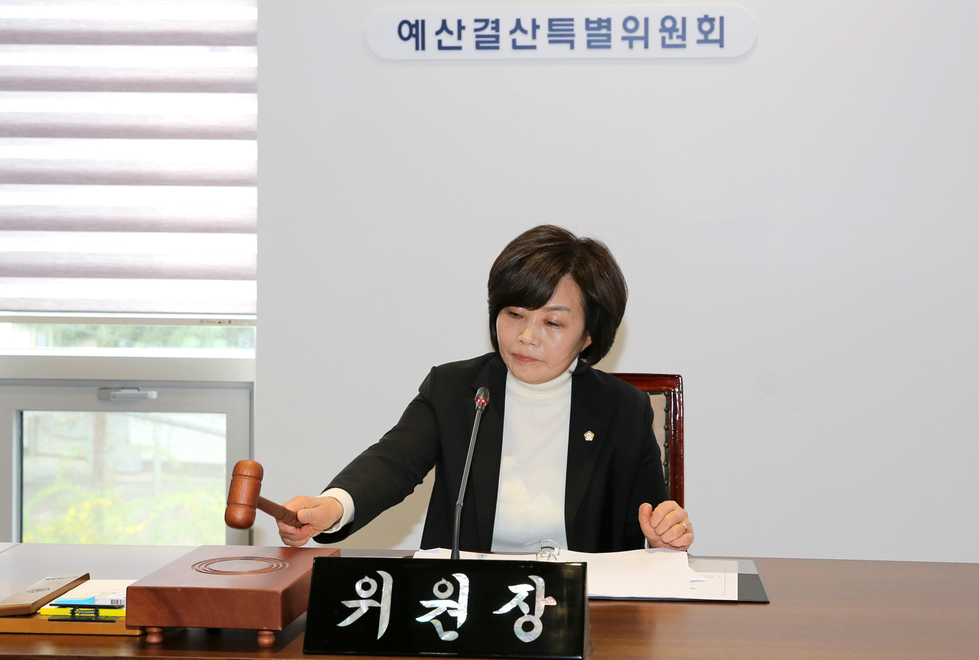 제259회 임시회 예산결산특별위원회 3