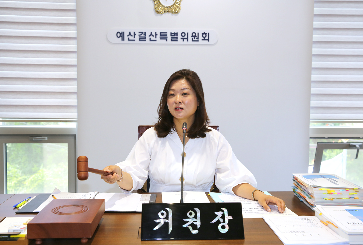 제261회 서대문구의회 제1차 정례회 제1차 예산결산특별위원회 8