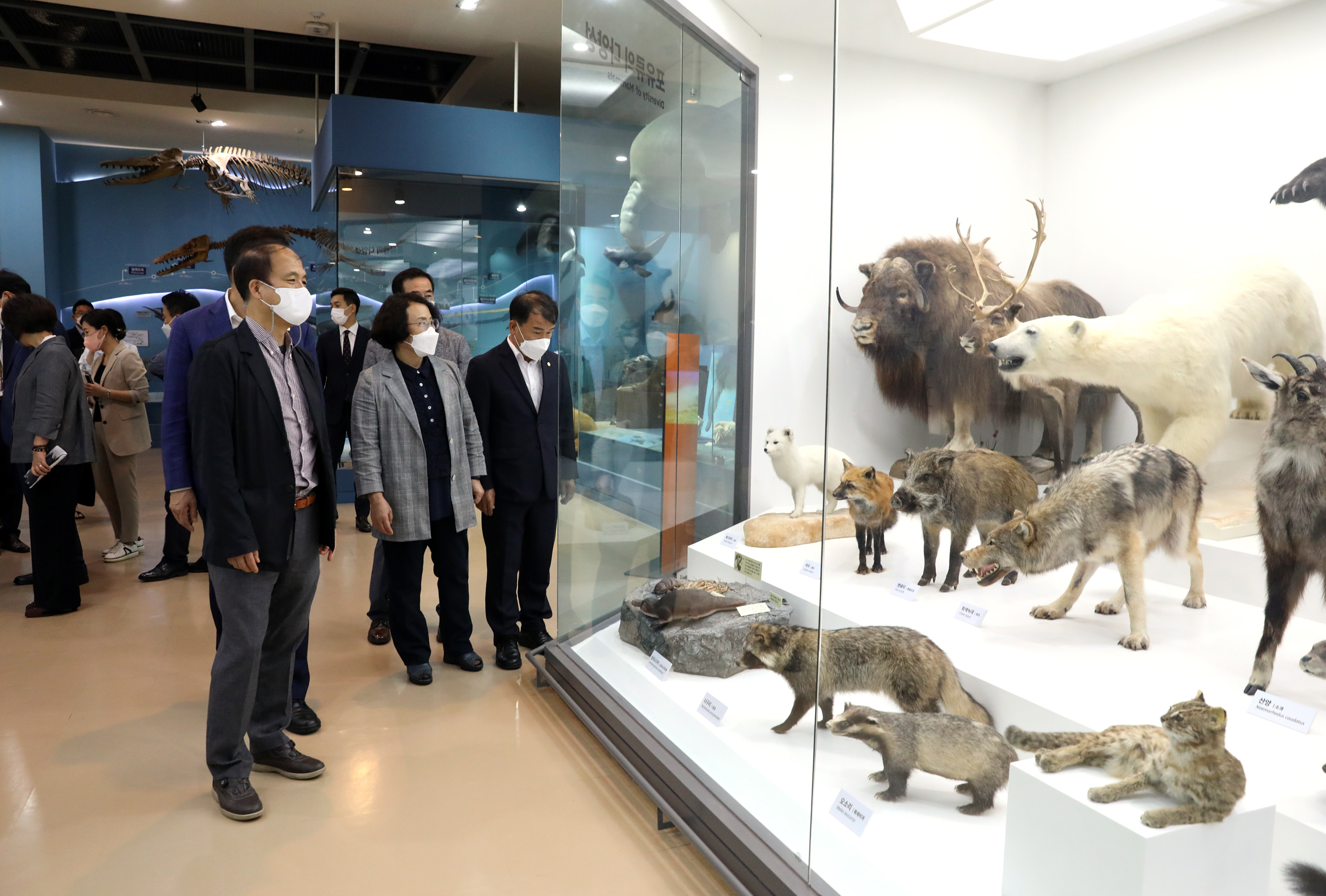 서대문자연사박물관 재개관식 30