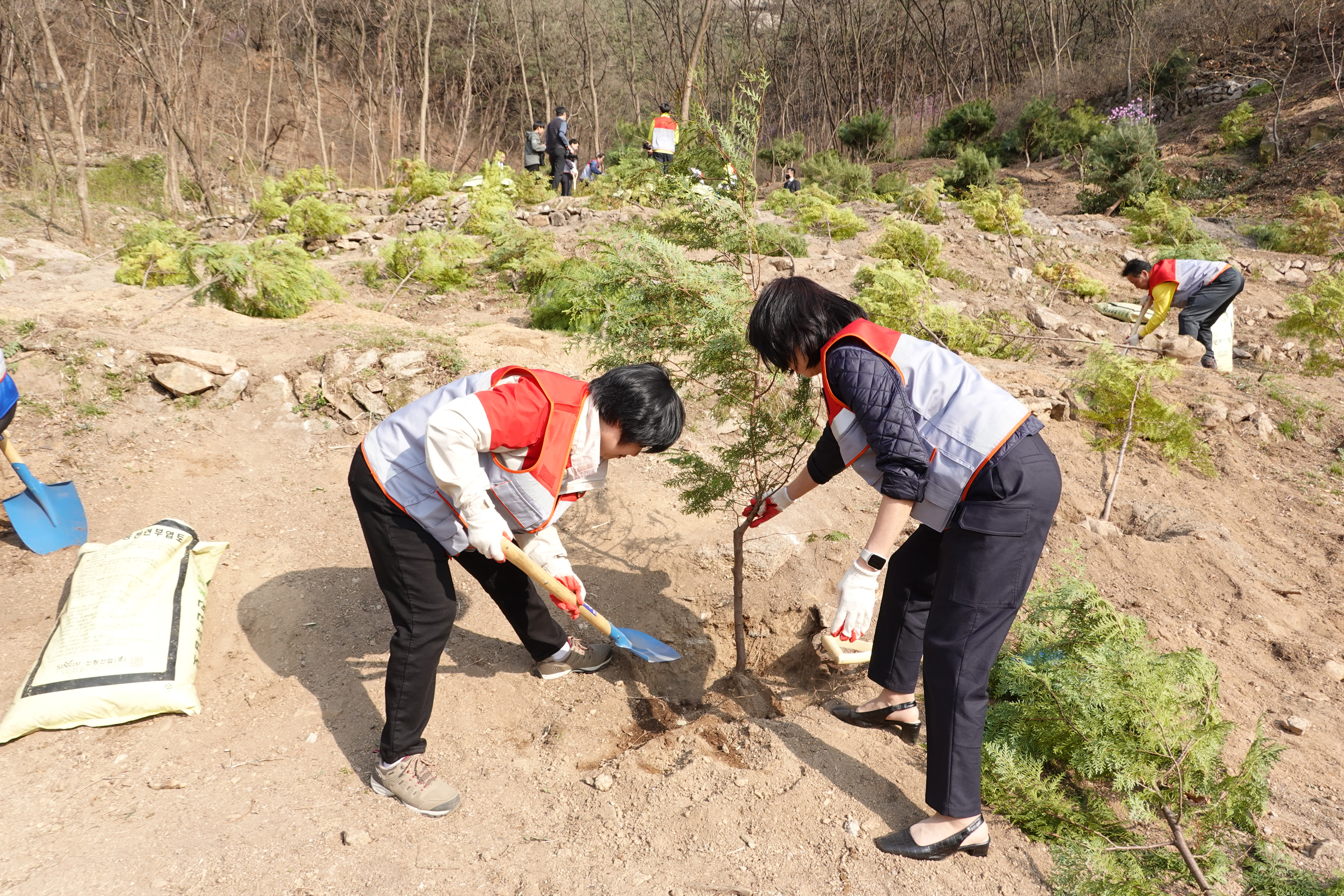 제78회 식목일 기념 나무심기 11