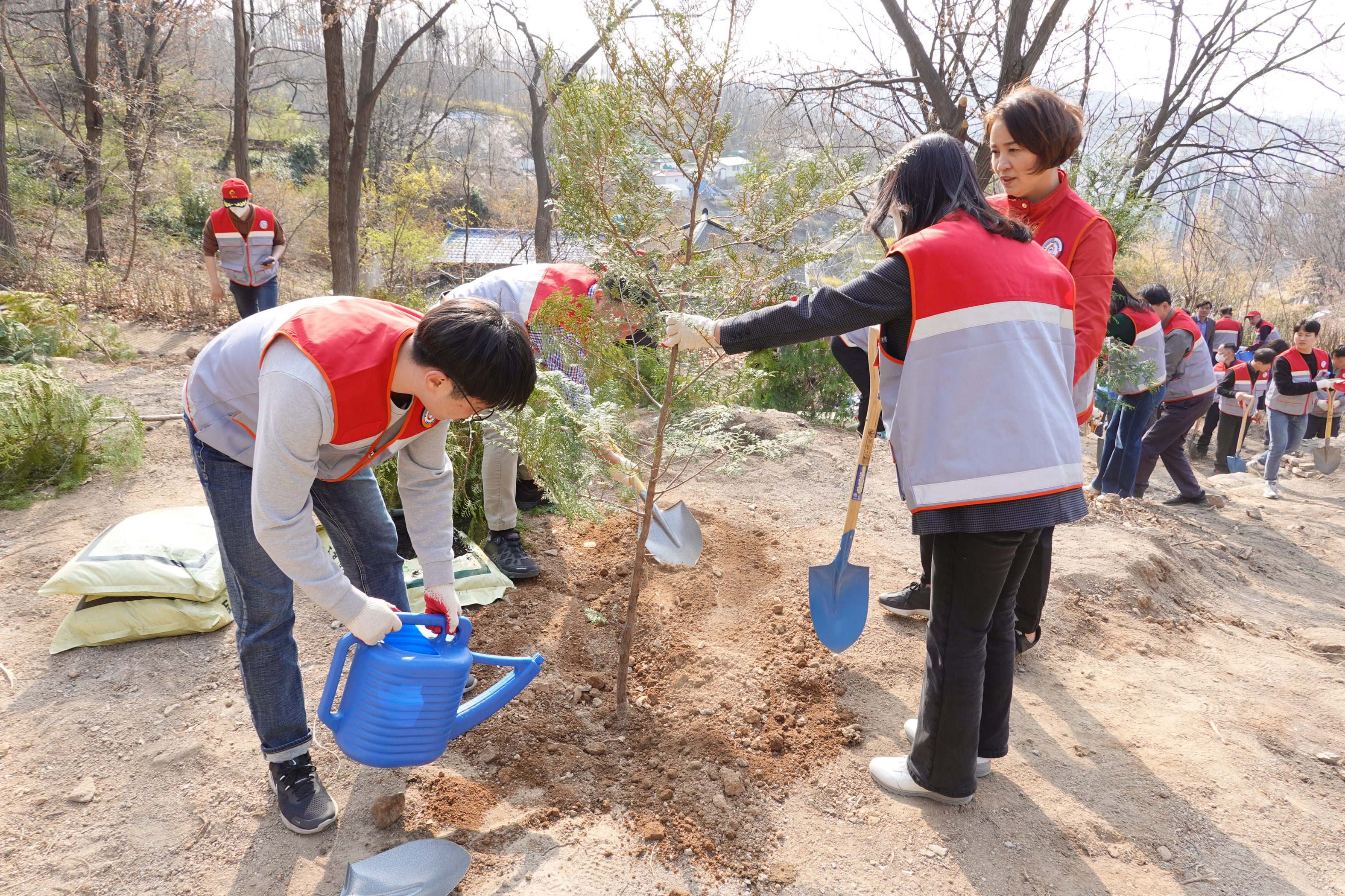 제78회 식목일 기념 나무심기 12