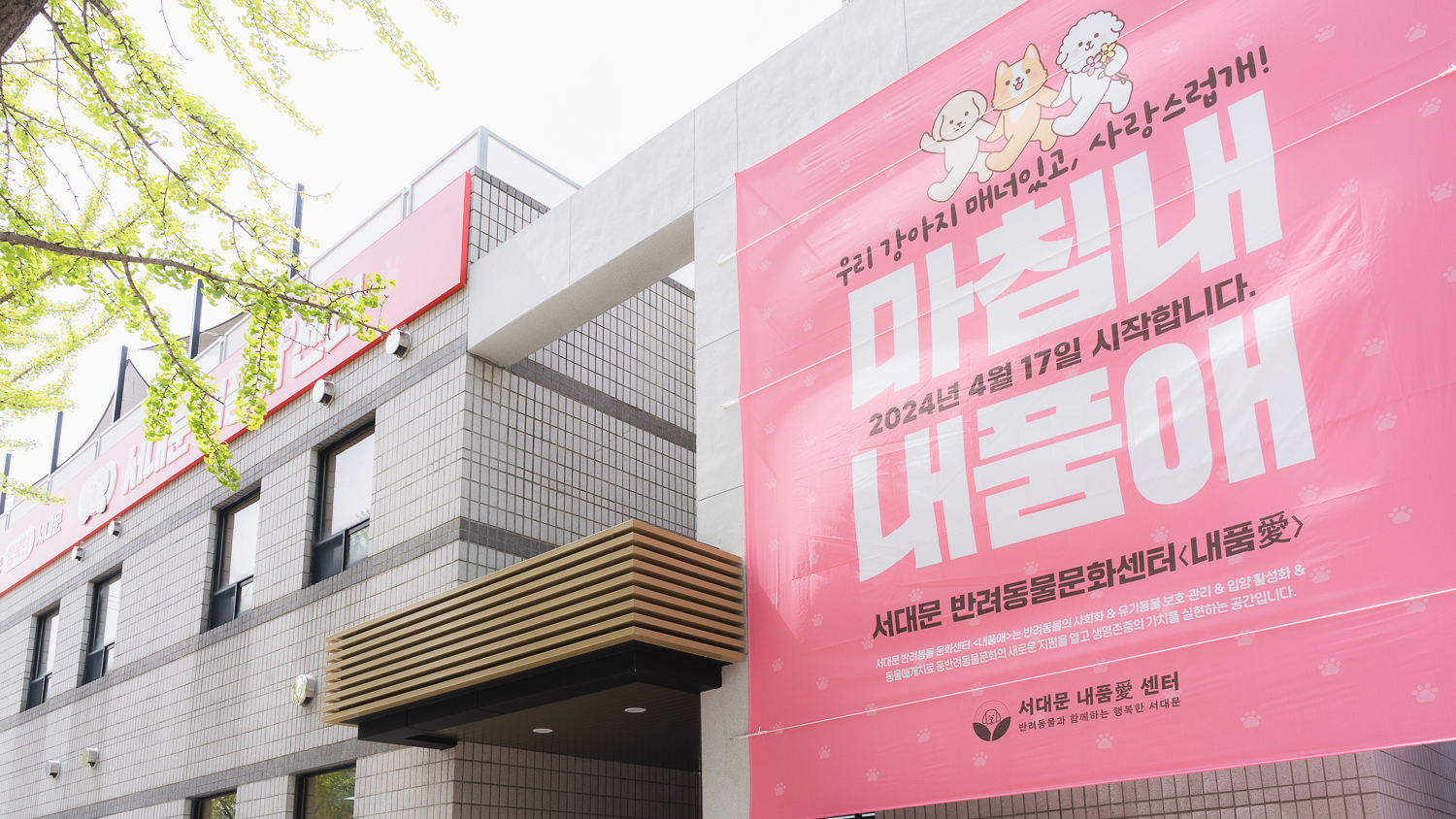 서대문 내품애(愛)센터 개소식 14