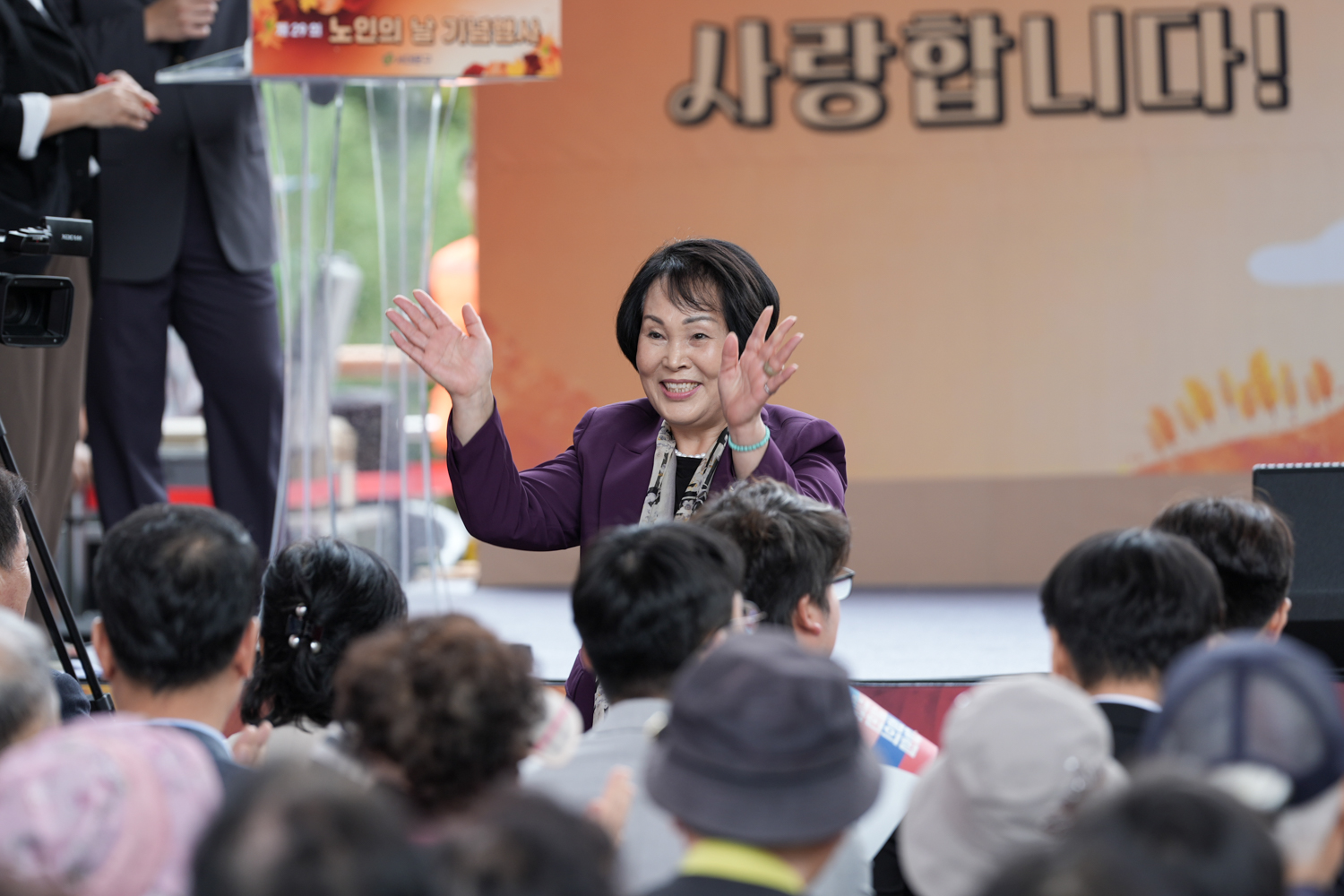 제29회 노인의 날 기념행사 10