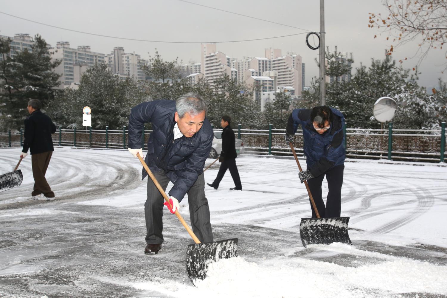 의회 앞 재설작업