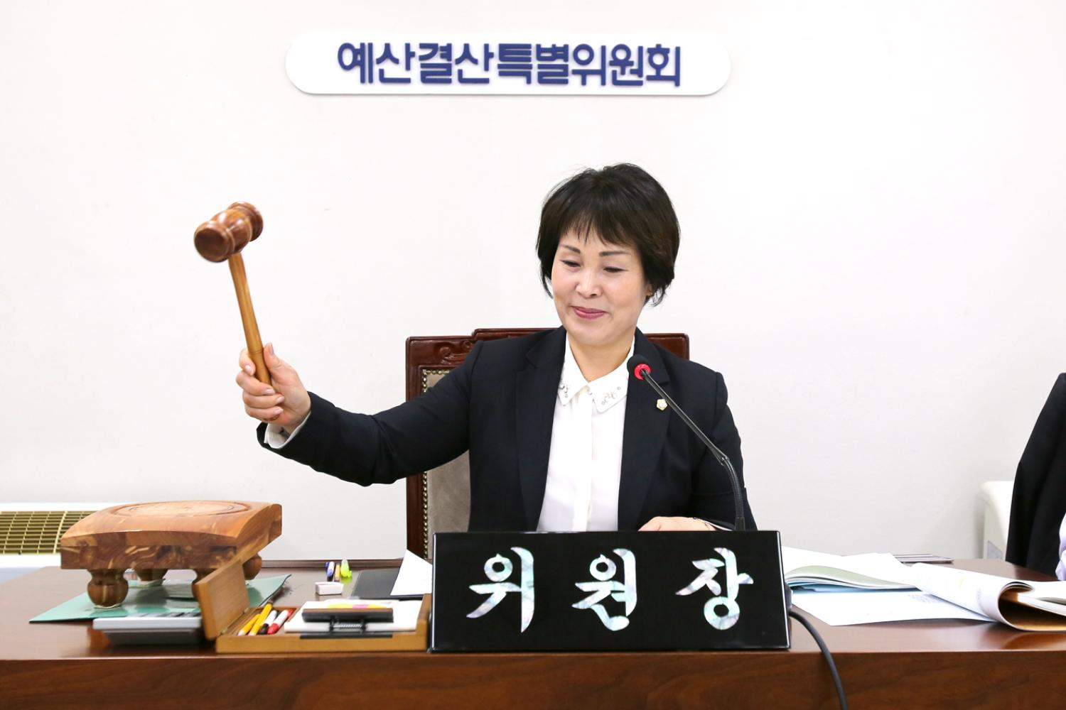 제210회 임시회 예산결산위원회
