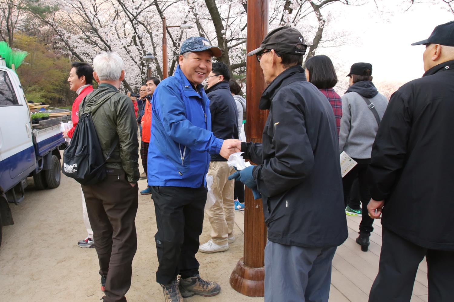 안산 벚꽃 걷기대회