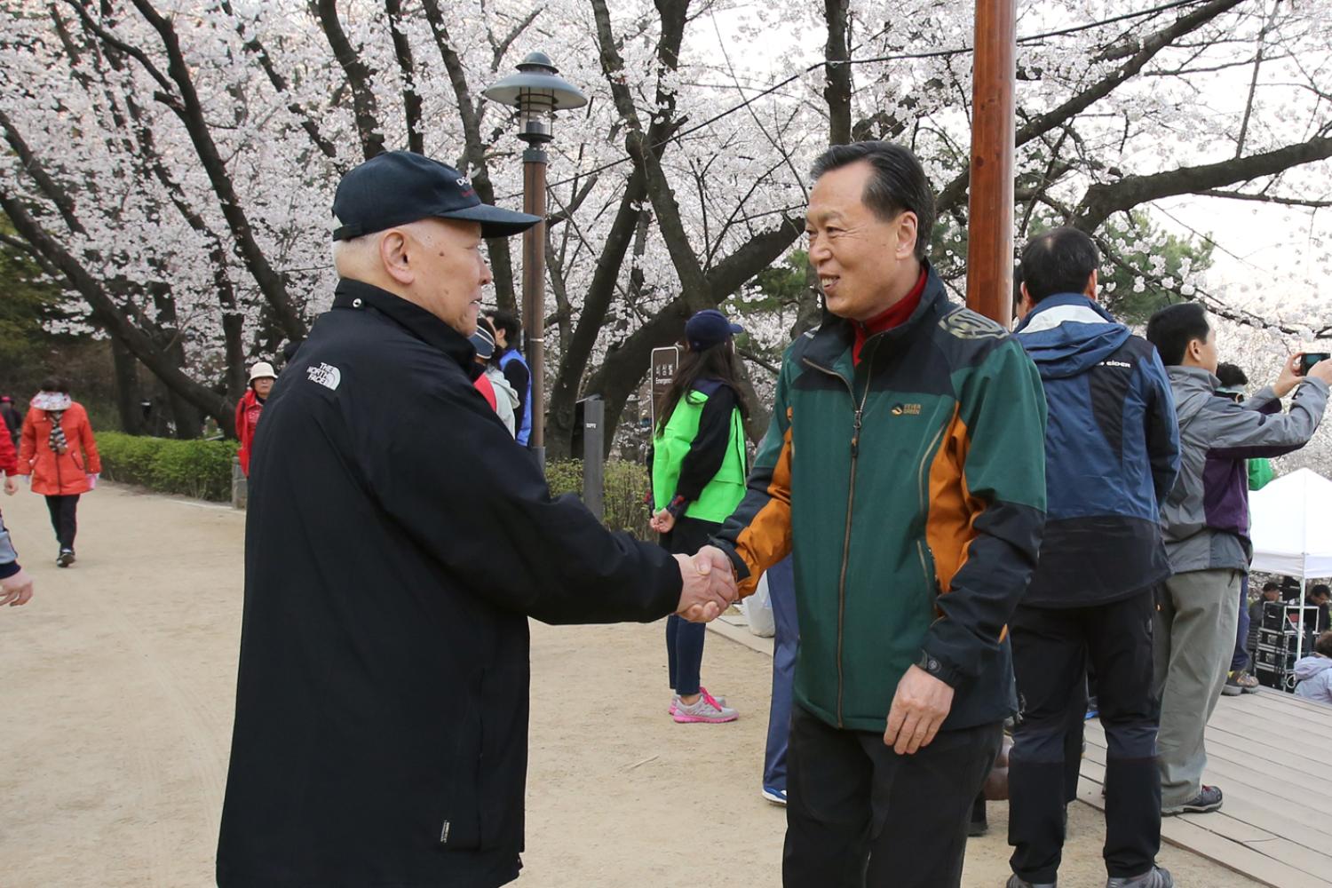 안산 벚꽃 걷기대회