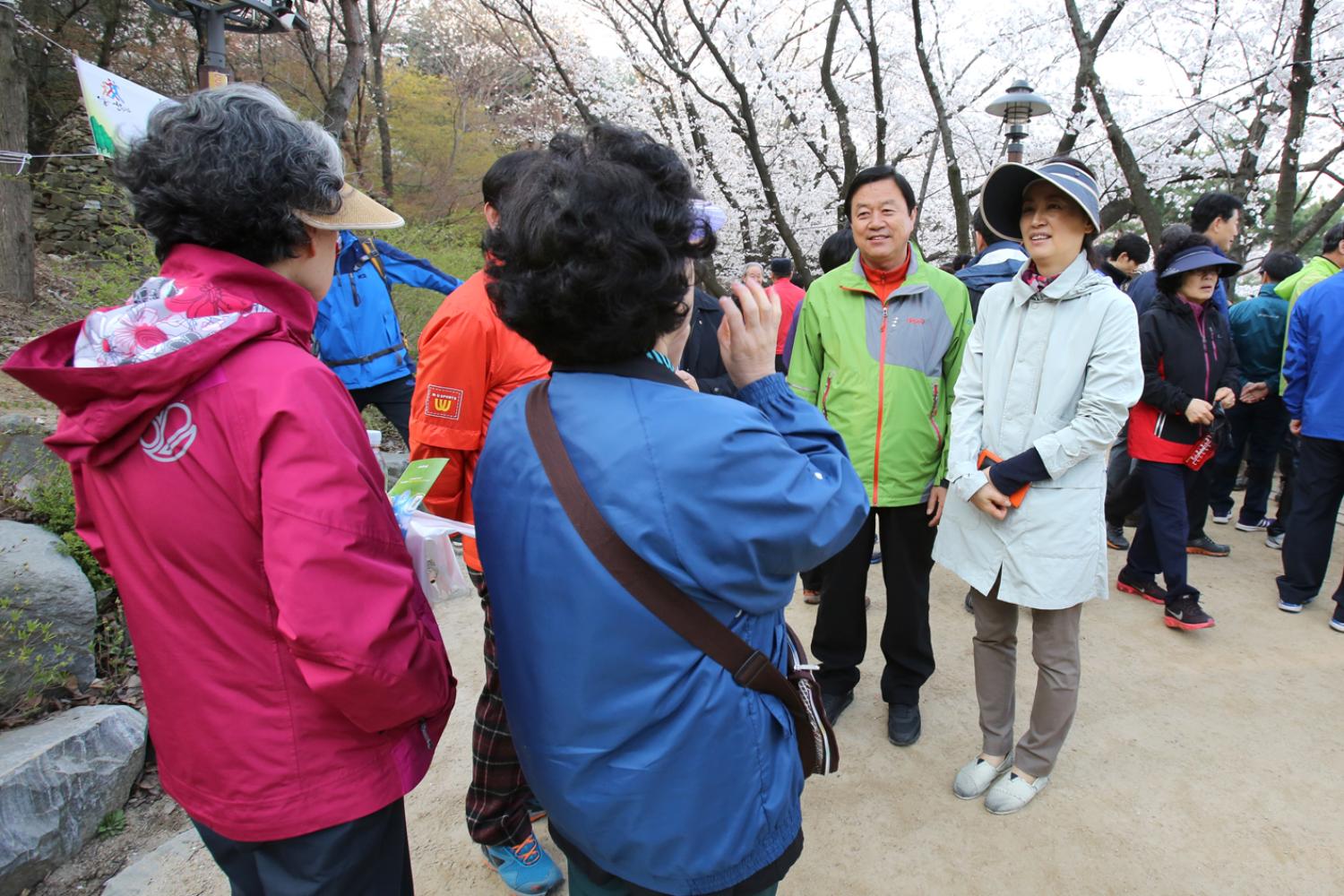 안산 벚꽃 걷기대회