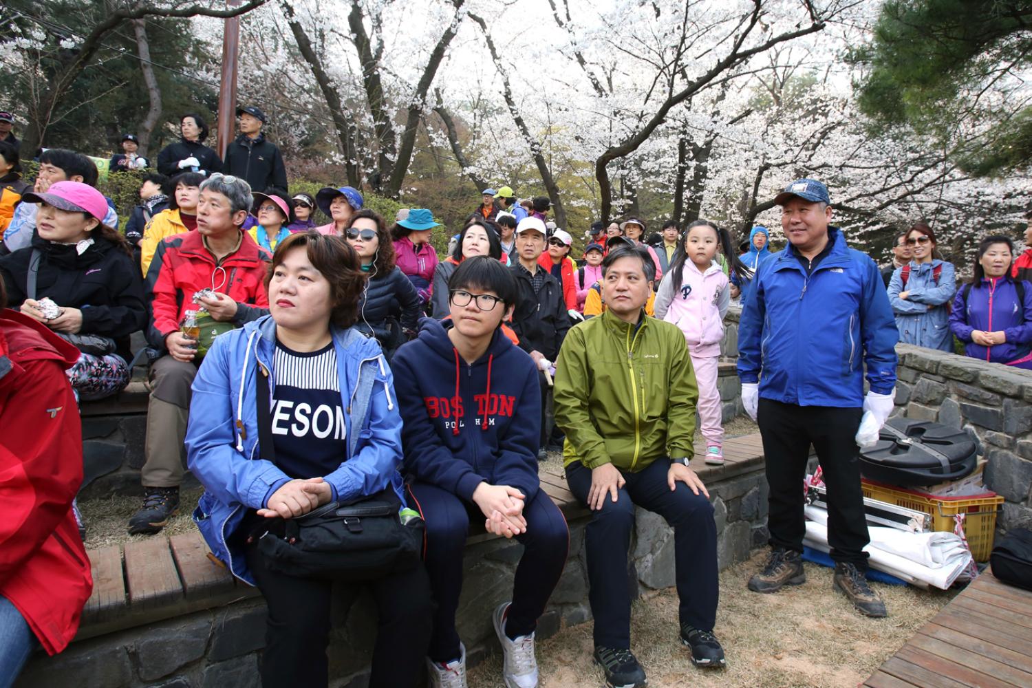 안산 벚꽃 걷기대회