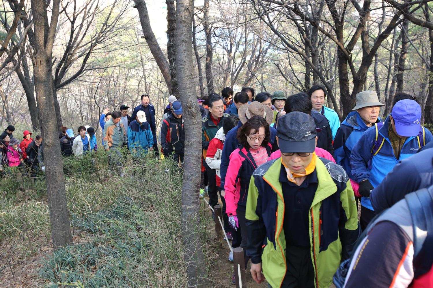 안산 벚꽃 걷기대회