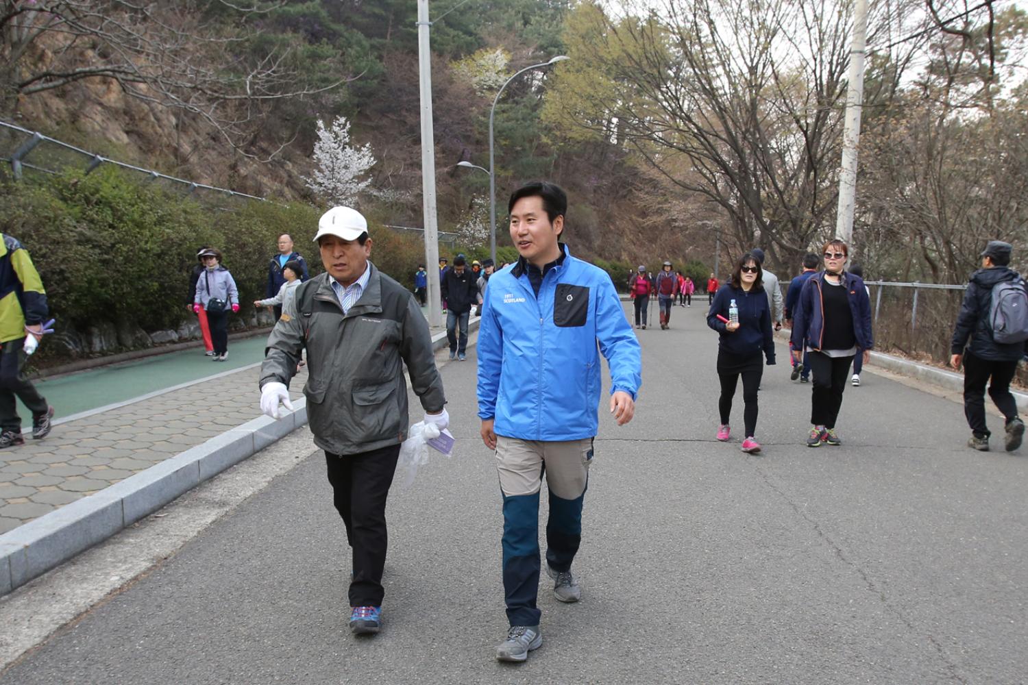 안산 벚꽃 걷기대회