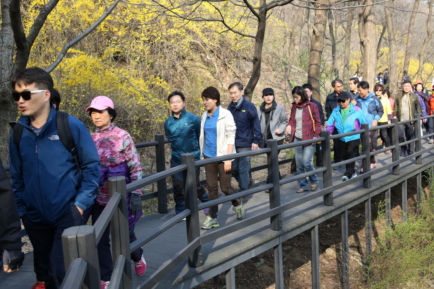 안산 벚꽃 걷기대회