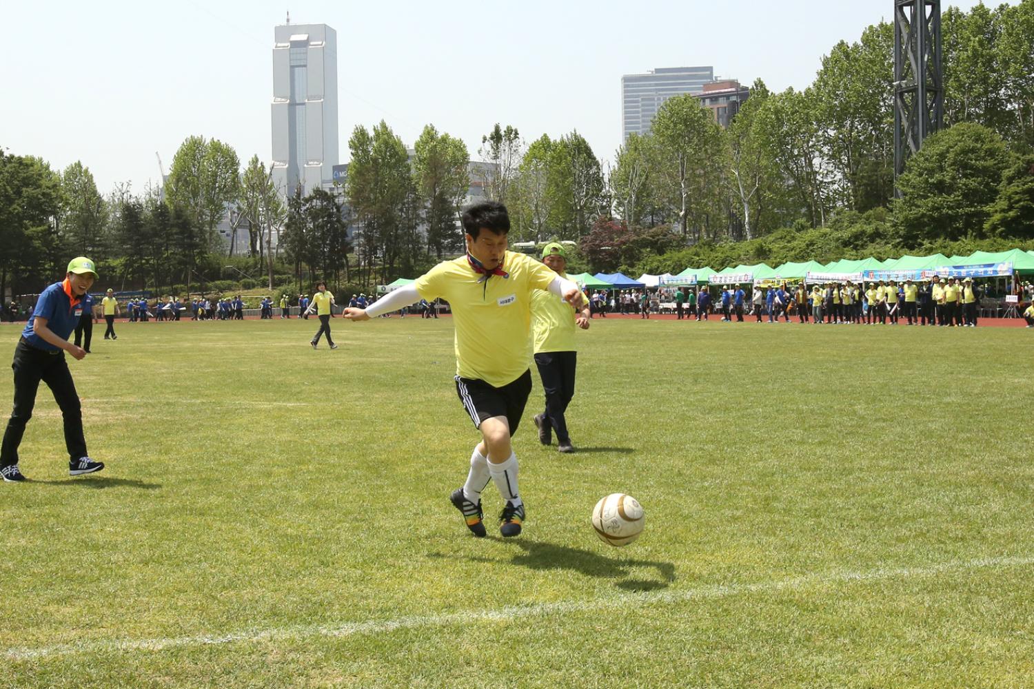 2015년 서울특별시 한마음체육대회
