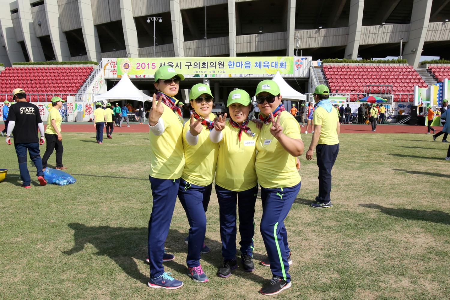 2015년 서울특별시 한마음체육대회