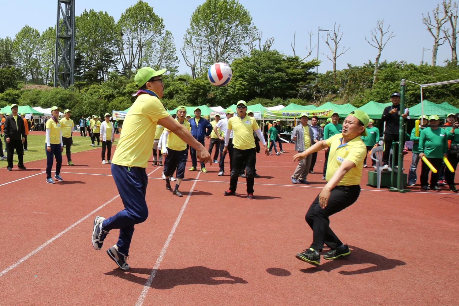 2015년 서울특별시 한마음체육대회