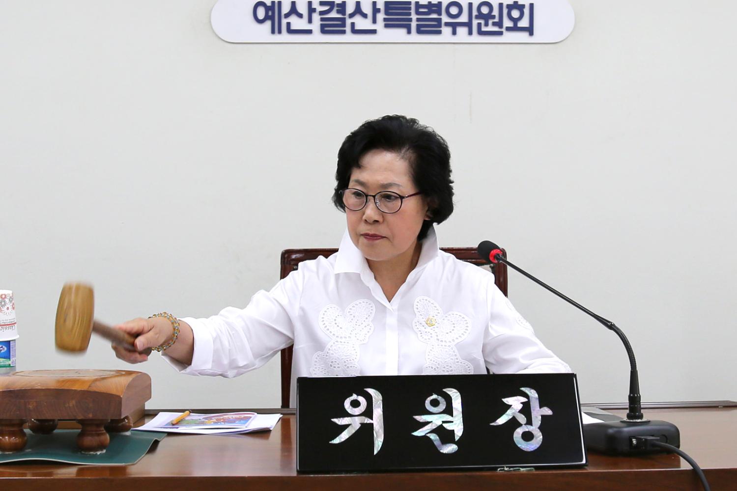 제217회 임시회 예산결산특별위원회 위원장 부위원장 선임의 건