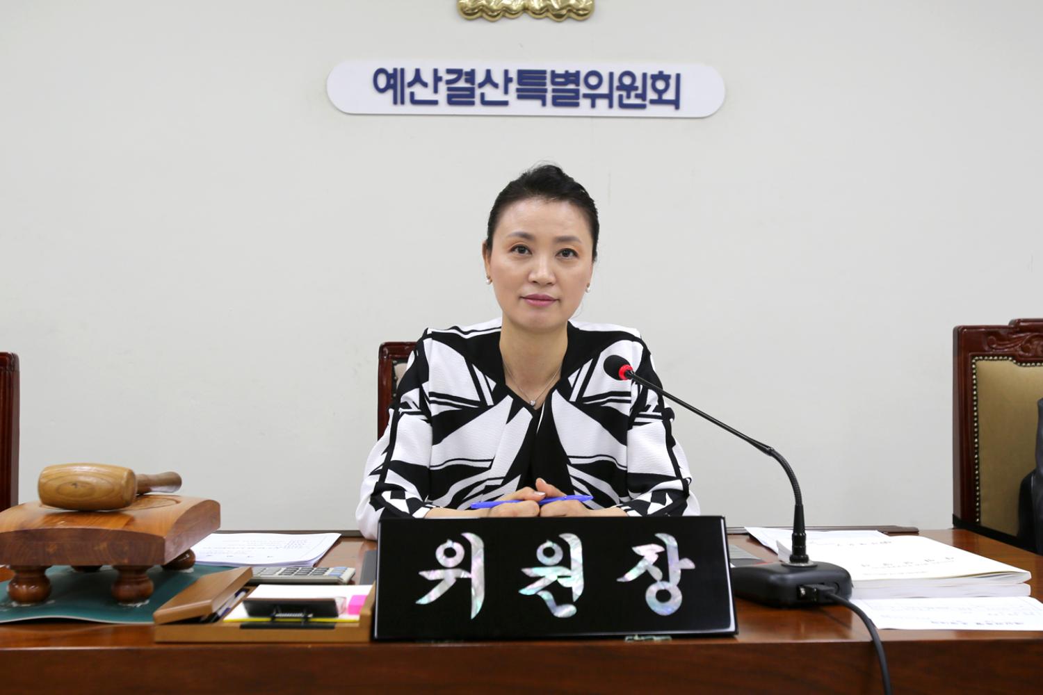 제217회 임시회 제2차 예산결산특별위원회