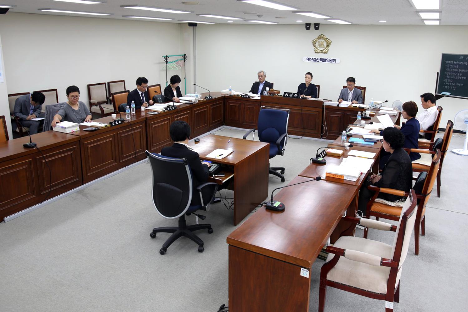 제217회 임시회 제3차 예산결산특별위원회