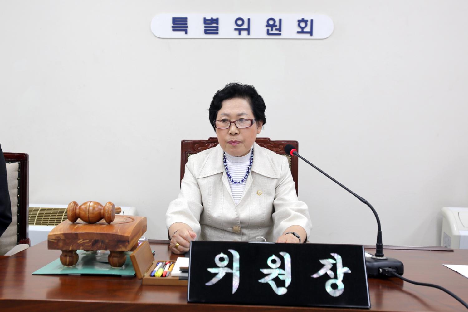 제228회 임시회 제1차 특별위원회 2