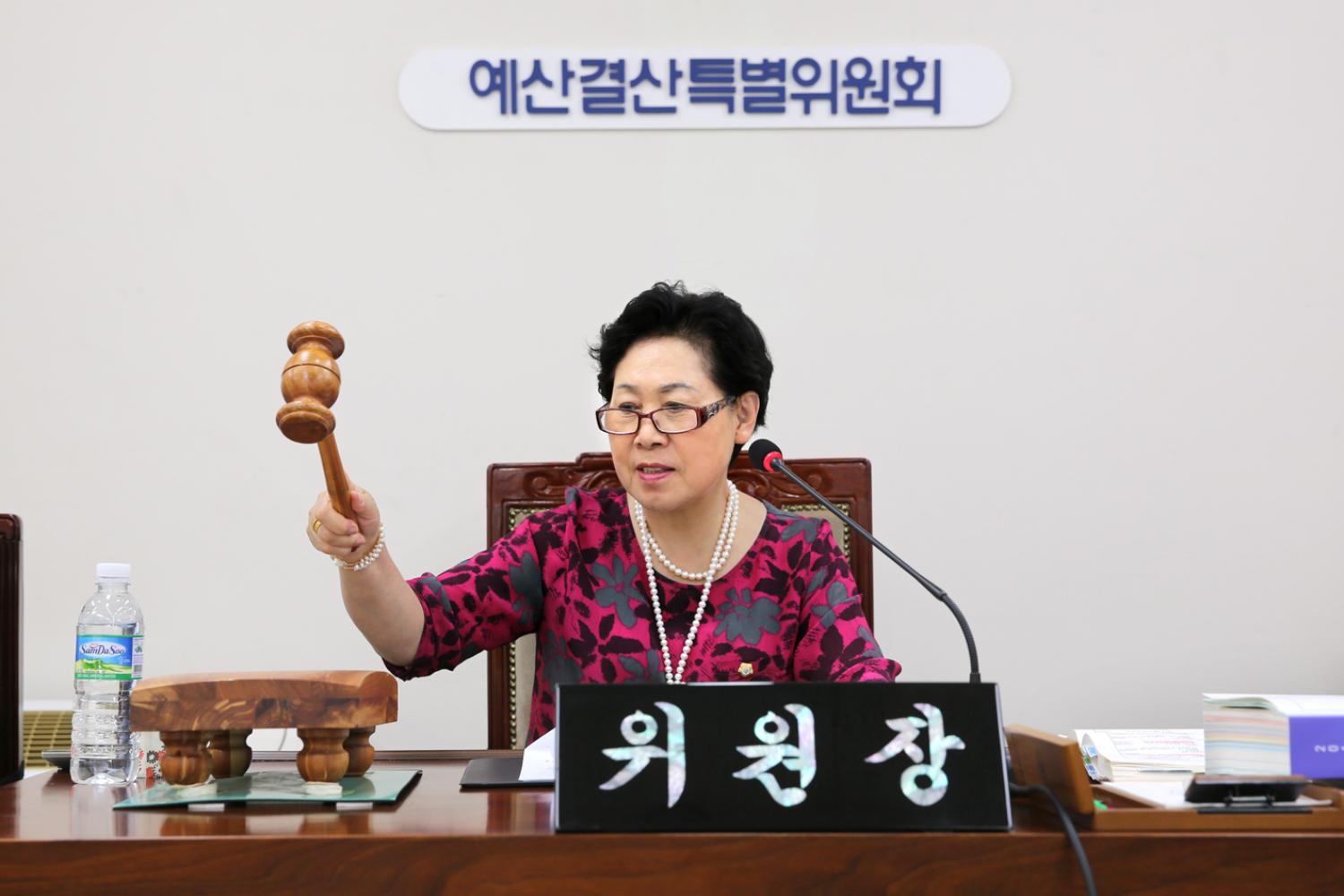 제234회 제1차 정례회 1~3차 예산결산위원회 3