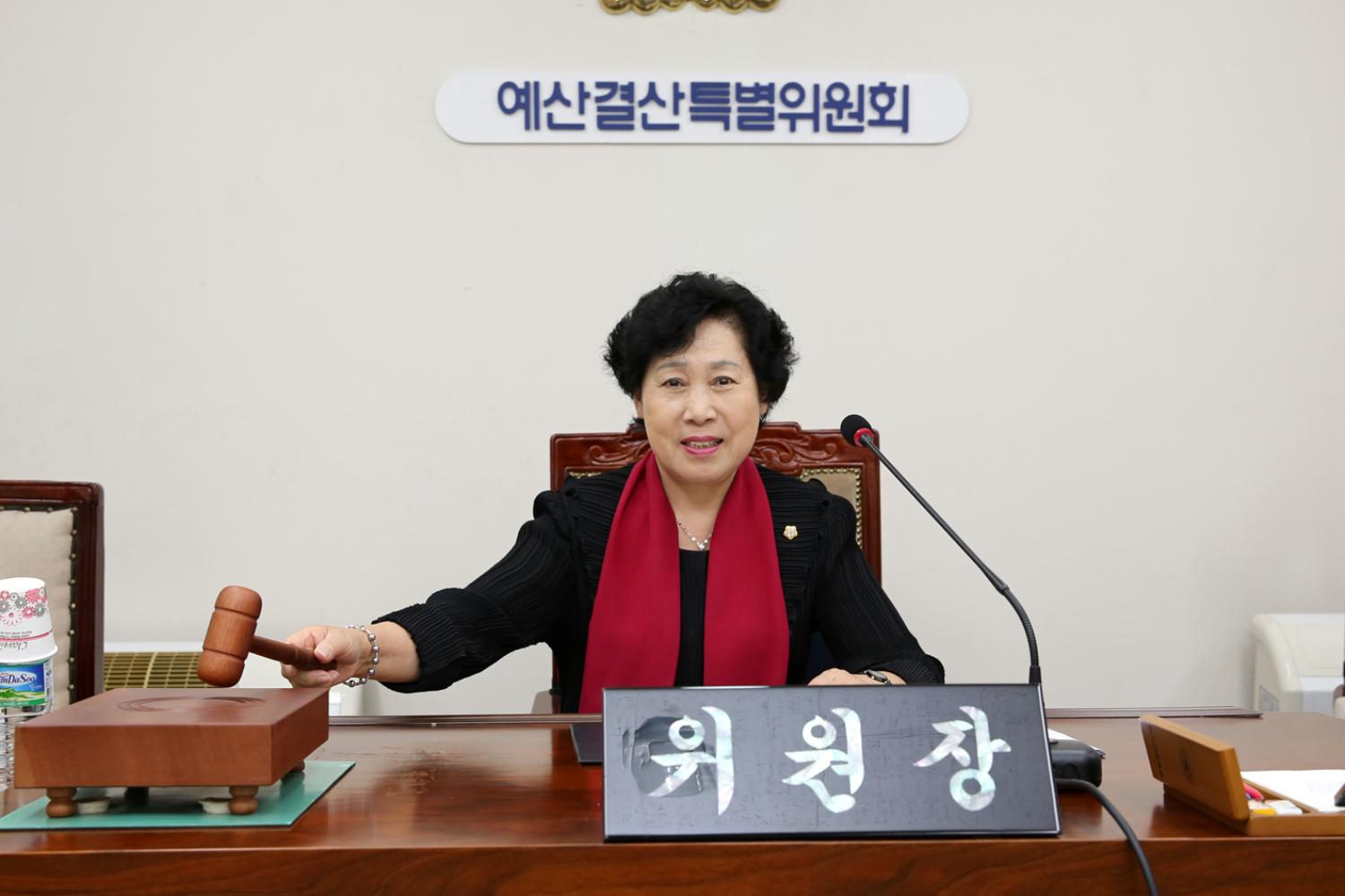 제237회 임시회 제1차 예산결산특별위원회 위원장 부위원장 선임의 건 2