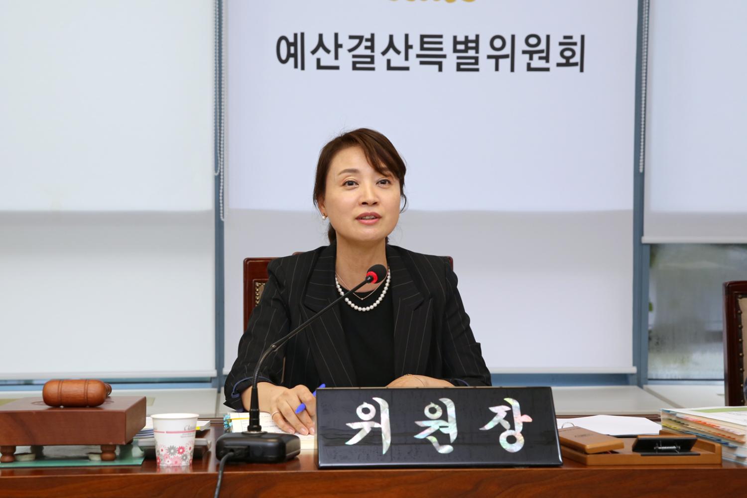 제246회 제1차 정례회 제2차 예산결산위원회 2
