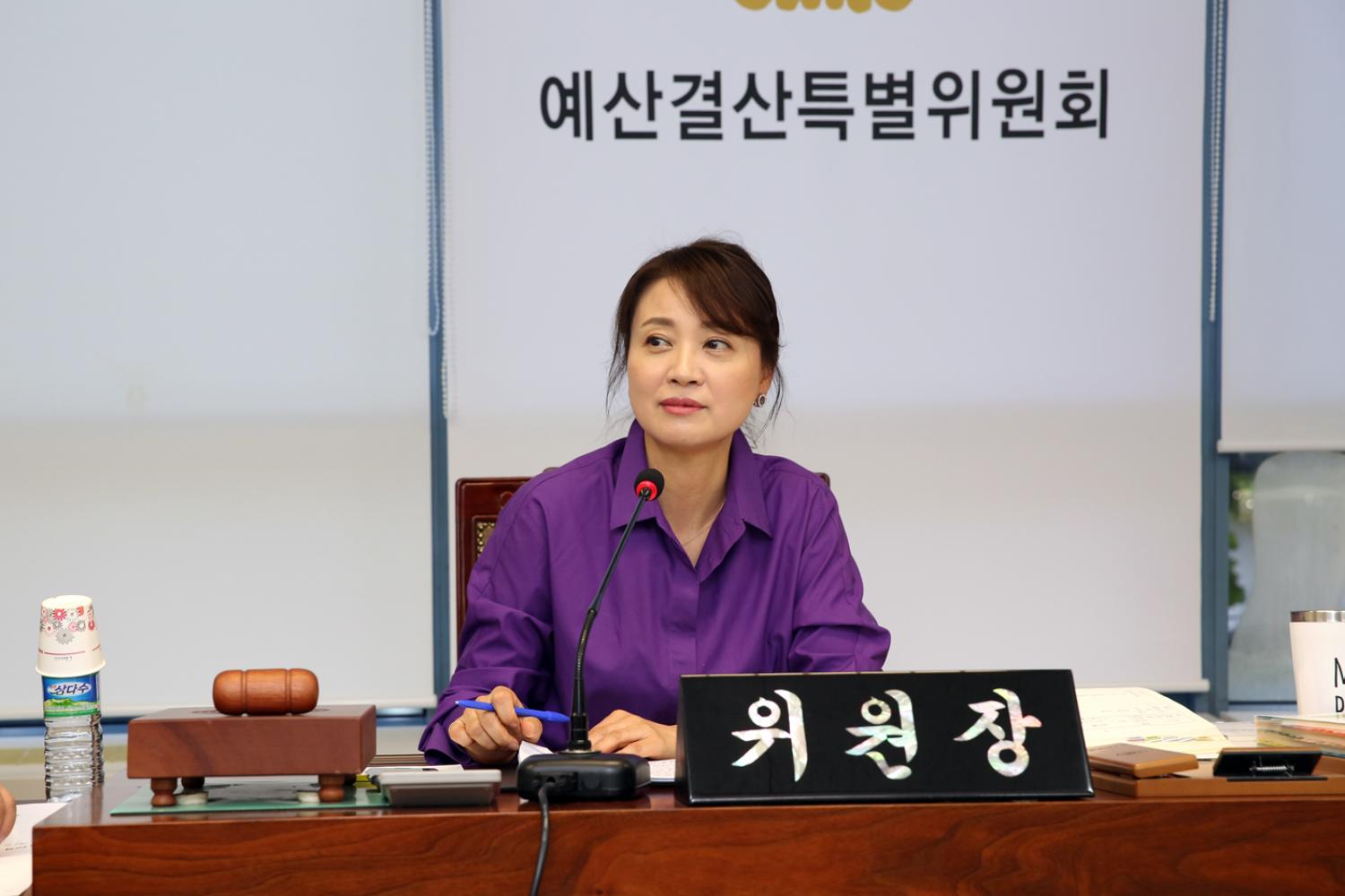 제246회 제1차 정례회 제3차 예산결산위원회 2