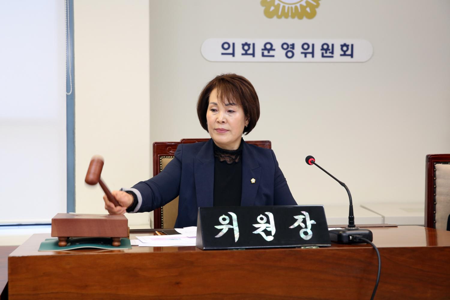 제247회 의회운영위원회 협의의 건 2