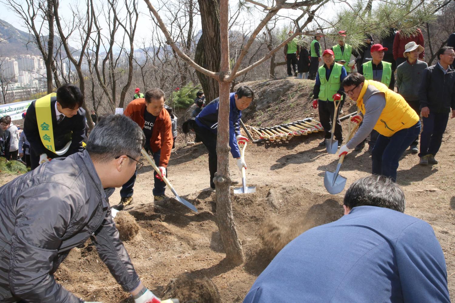 사회공헌형 신림탄소상쇄의 숲조성 북한산 나무심기 20
