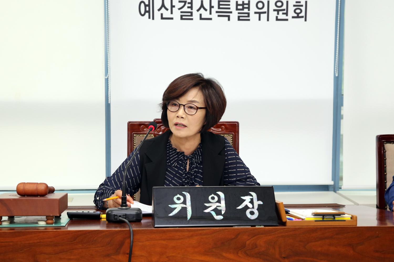 제252회 제1차 정례회 제2차~3차 예산결산특별위원회