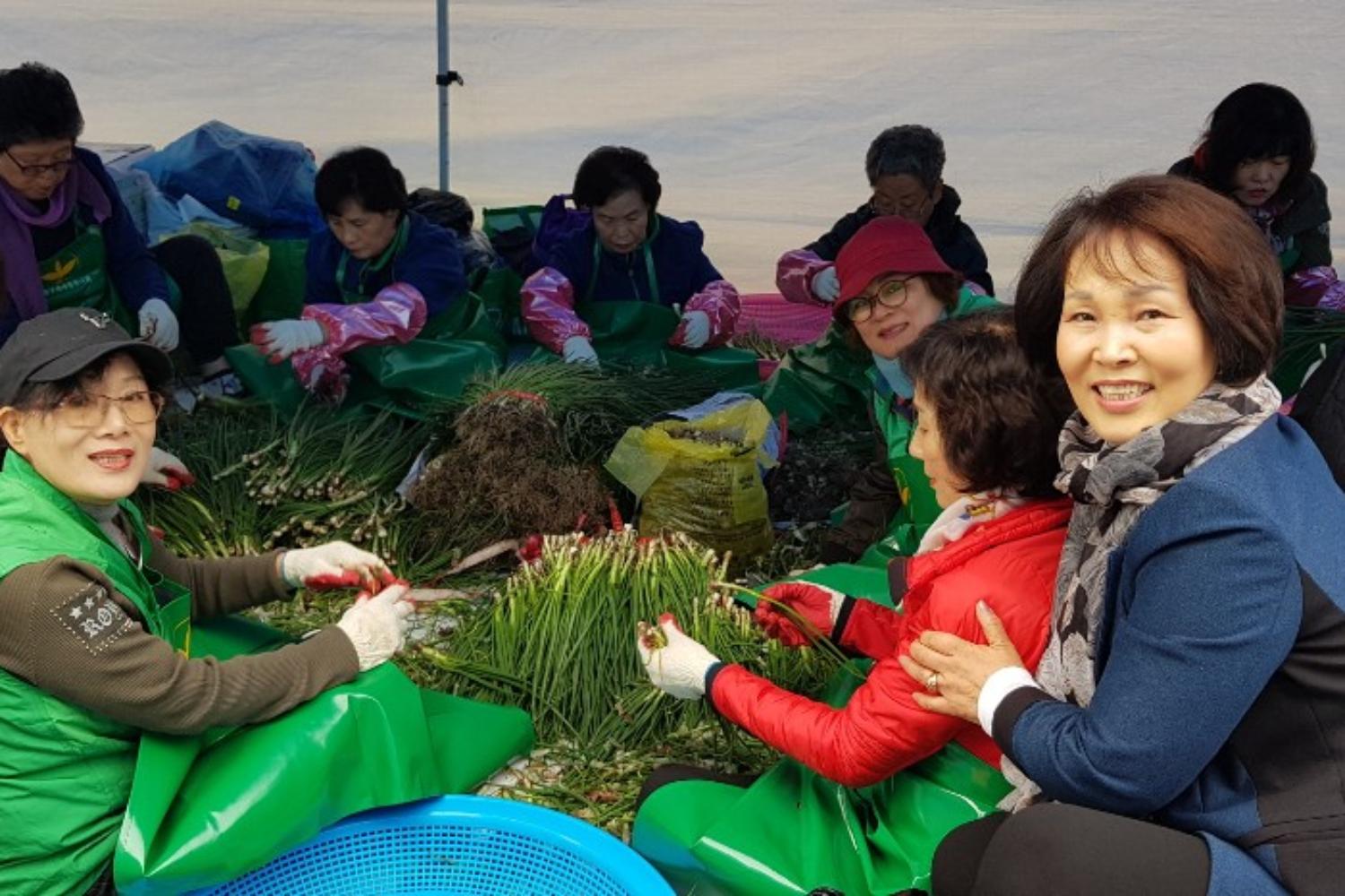 새마을부녀회 사랑의 김장 나누기(박경희 의원 자료제공) 5