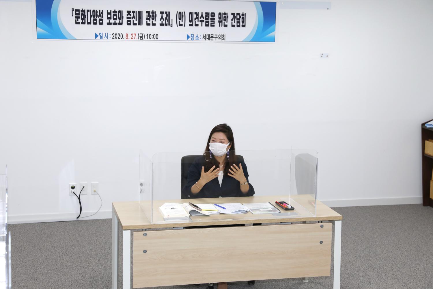문화다양성 보호와 증진에 관한 조례(안)의견수렴을 위한 간담회 5