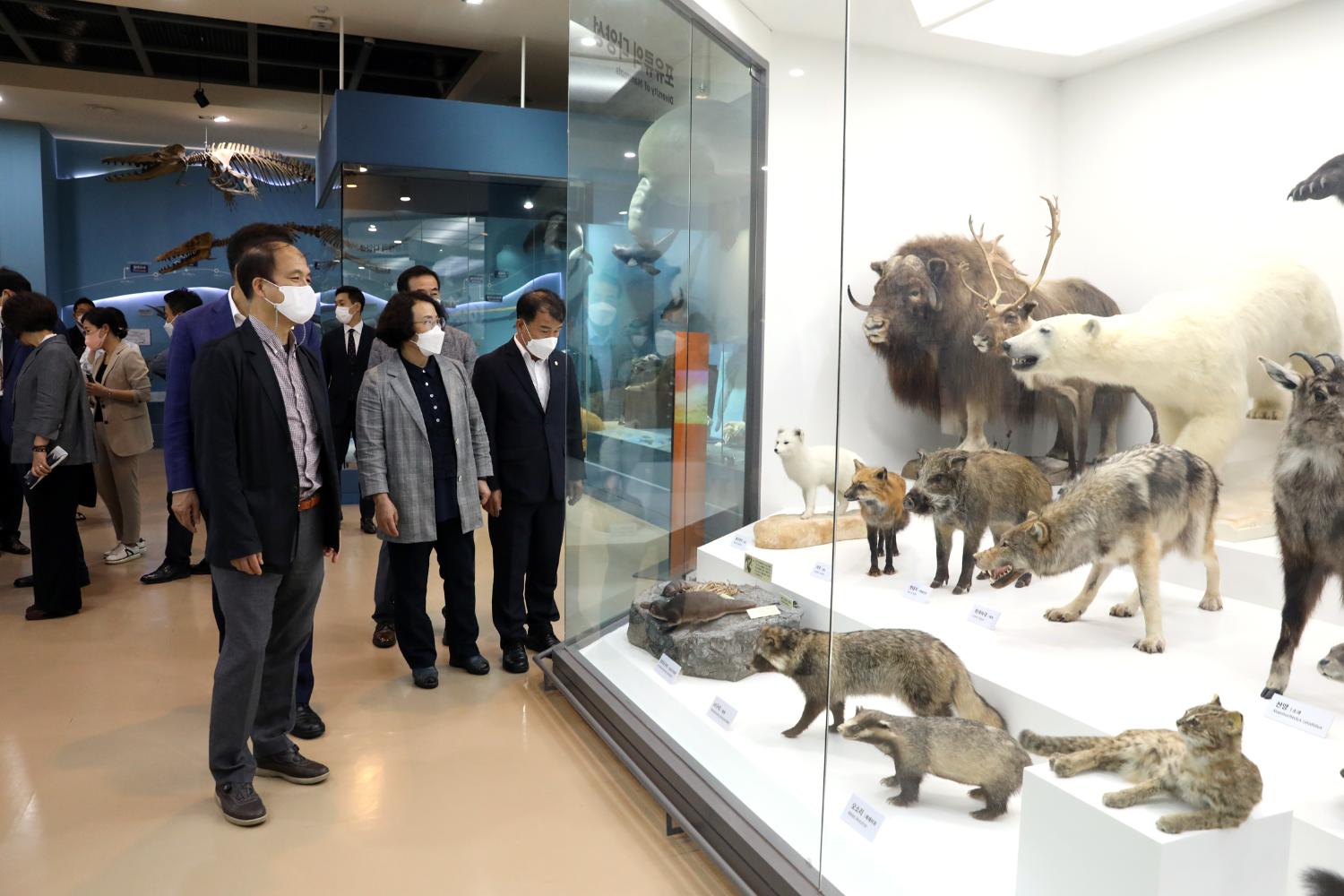 서대문자연사박물관 재개관식 30