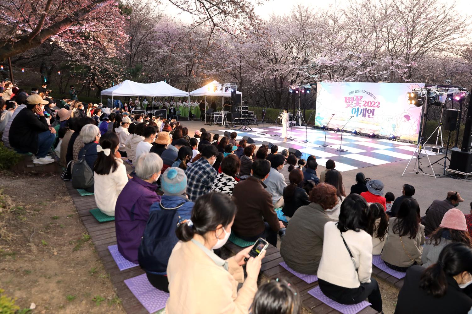 서대문 안산자락길 벚꽃 음악회