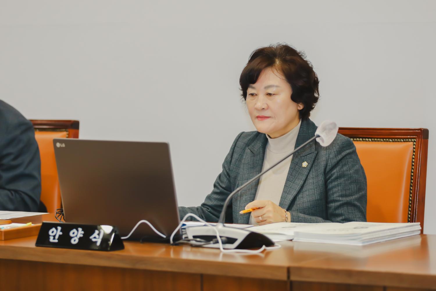 제295회 제2차 정례회 제2차 행정복지위원회의-구정업무보고 11